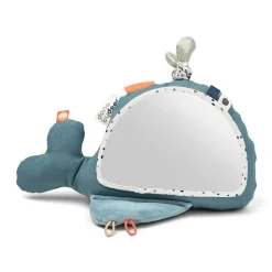 Activity Floor Mirror