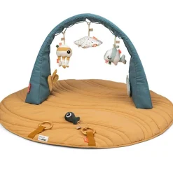 Activity Gym with Play Mat