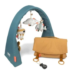 Activity Gym with Play Mat