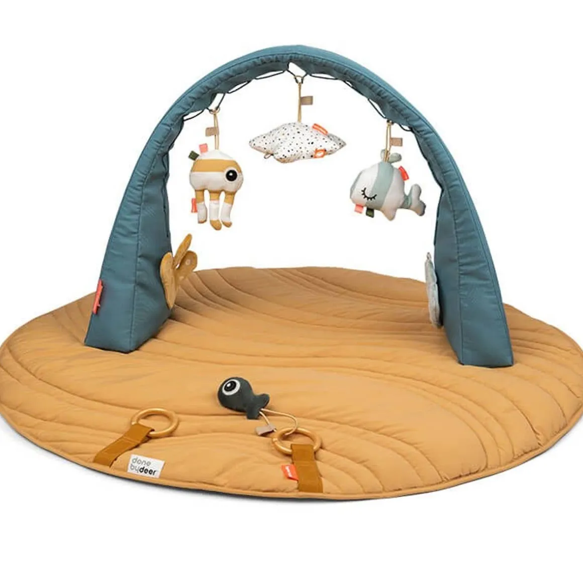 Activity Gym with Play Mat