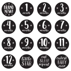 Baby Book & Sticker Set