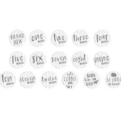 Baby Book & Sticker Set