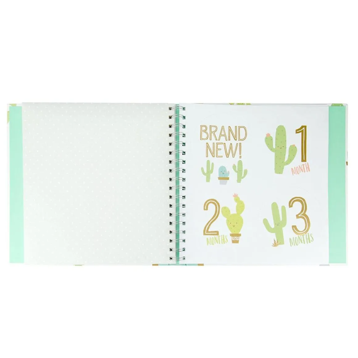 Baby Book & Sticker Set