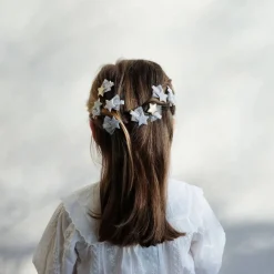 Ballet Star Mini Clips