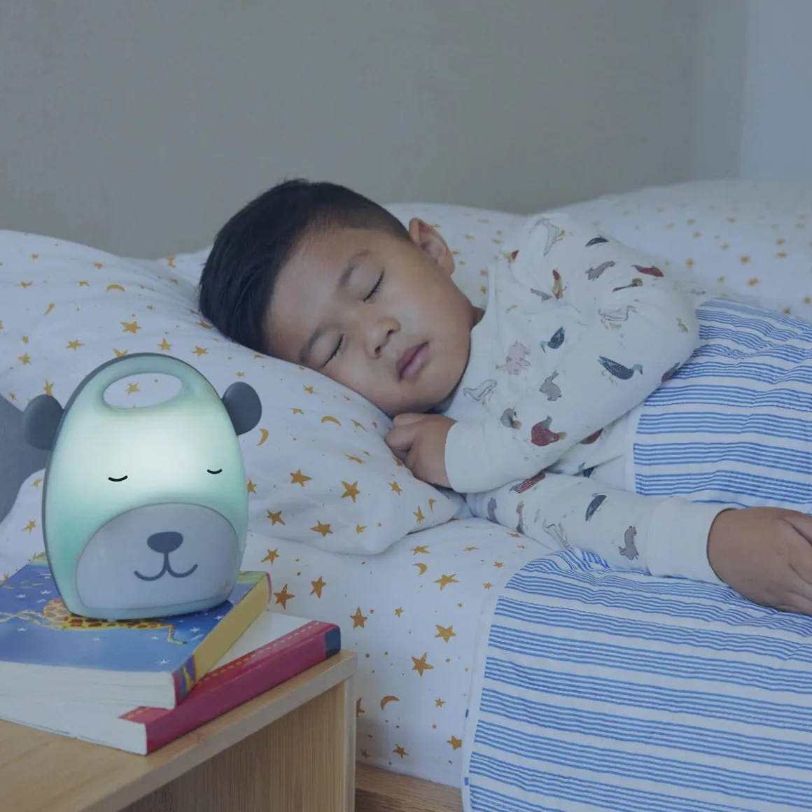 Beary Cute Take Along Night Light