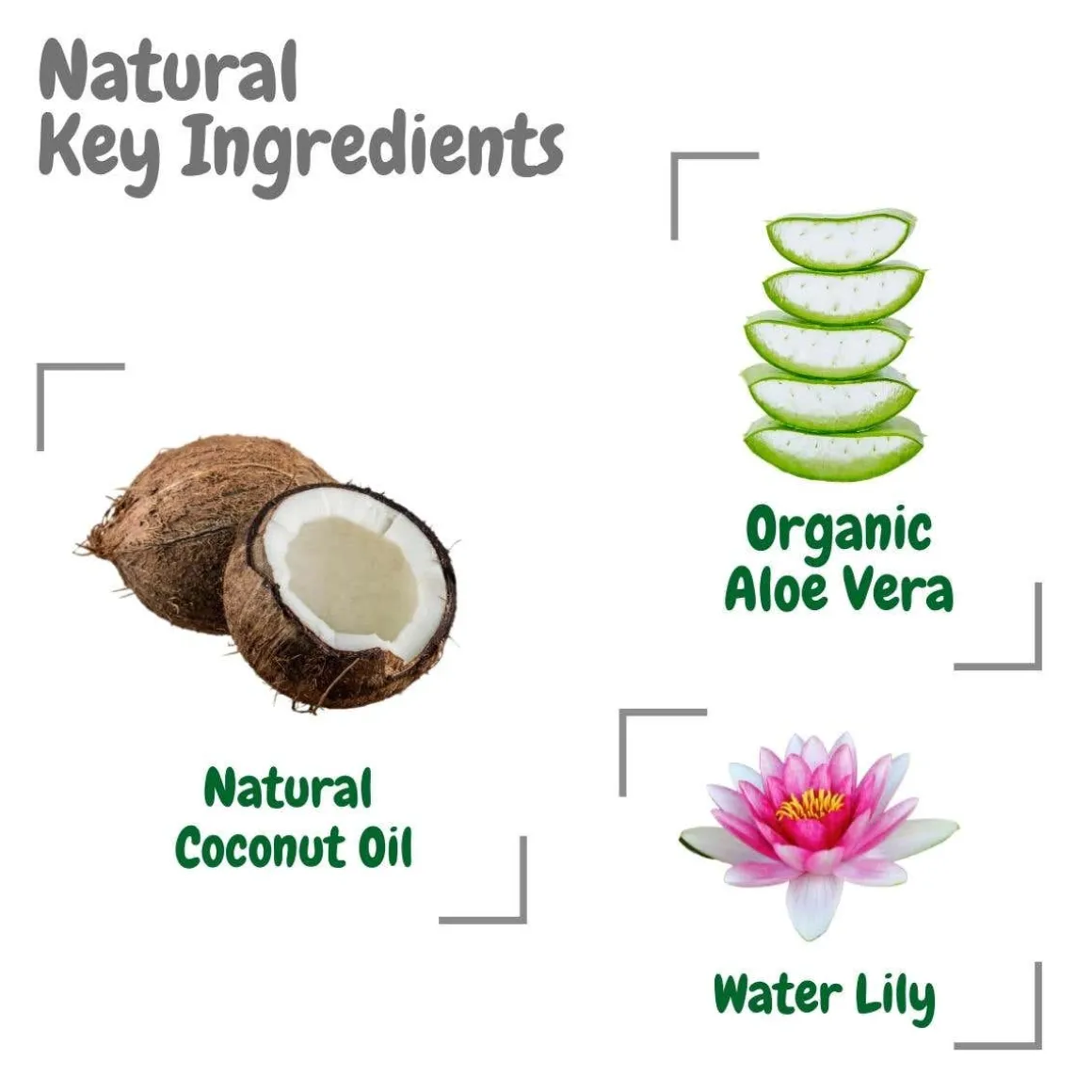 Bottle & Dish Liquid - Water Lily (500 mL)