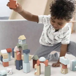 Building Blocks (50 Pieces)