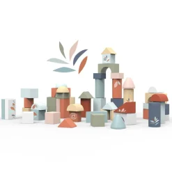 Building Blocks (50 Pieces)