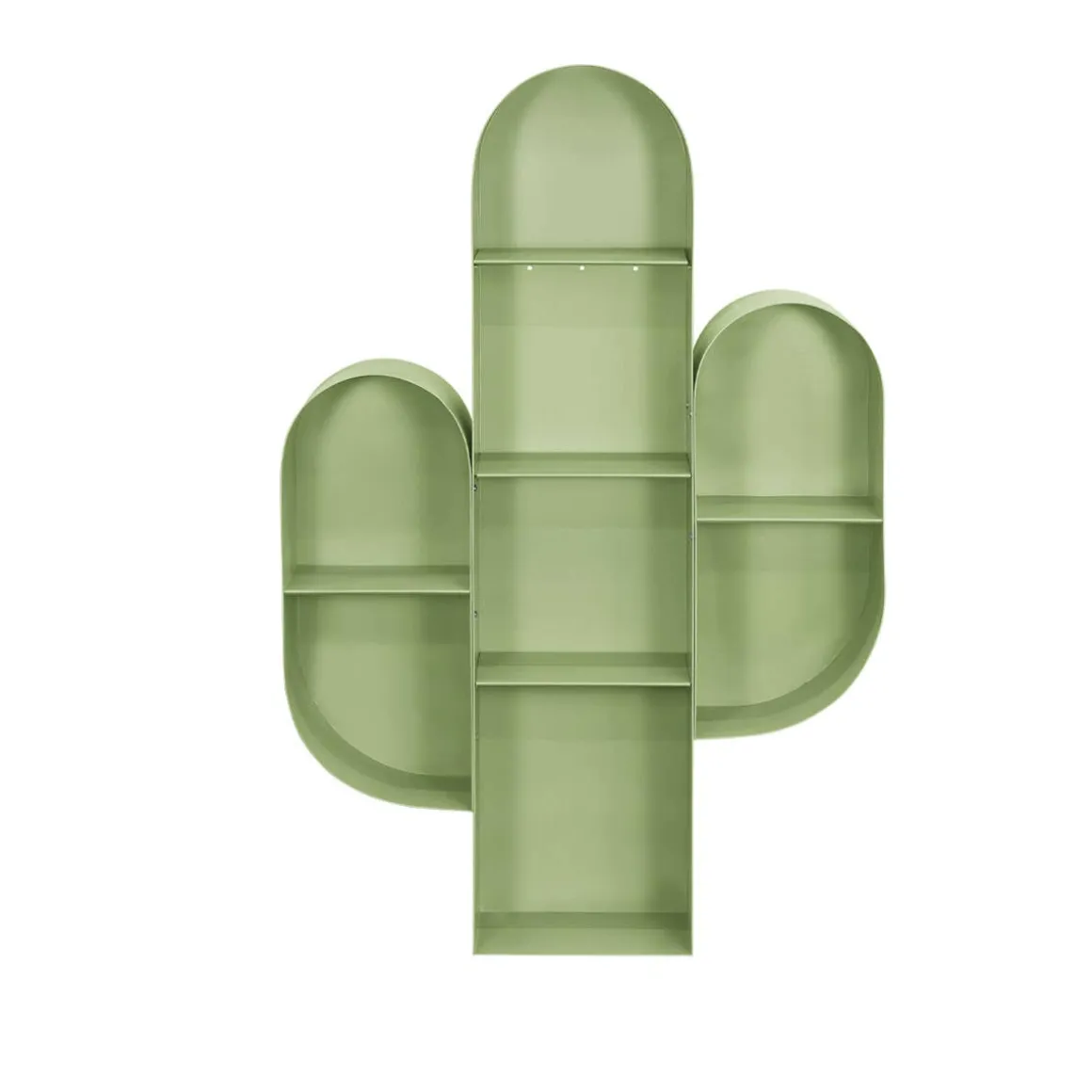 Cactus Bookcase