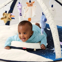 Celestial Dreams Activity Gym