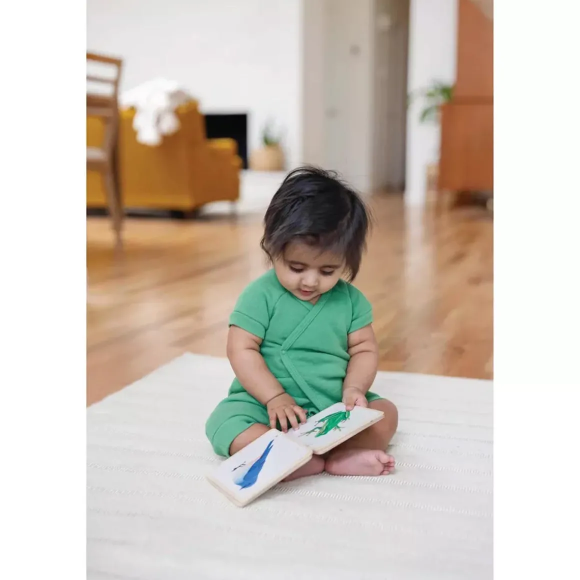 Colorful Animals Wooden Book