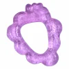 Cool Fruit Teether