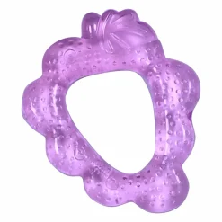 Cool Fruit Teether