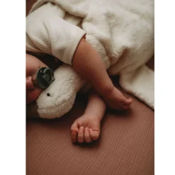 Cuddly Animals (Large)