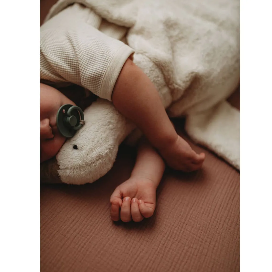 Cuddly Animals (Large)