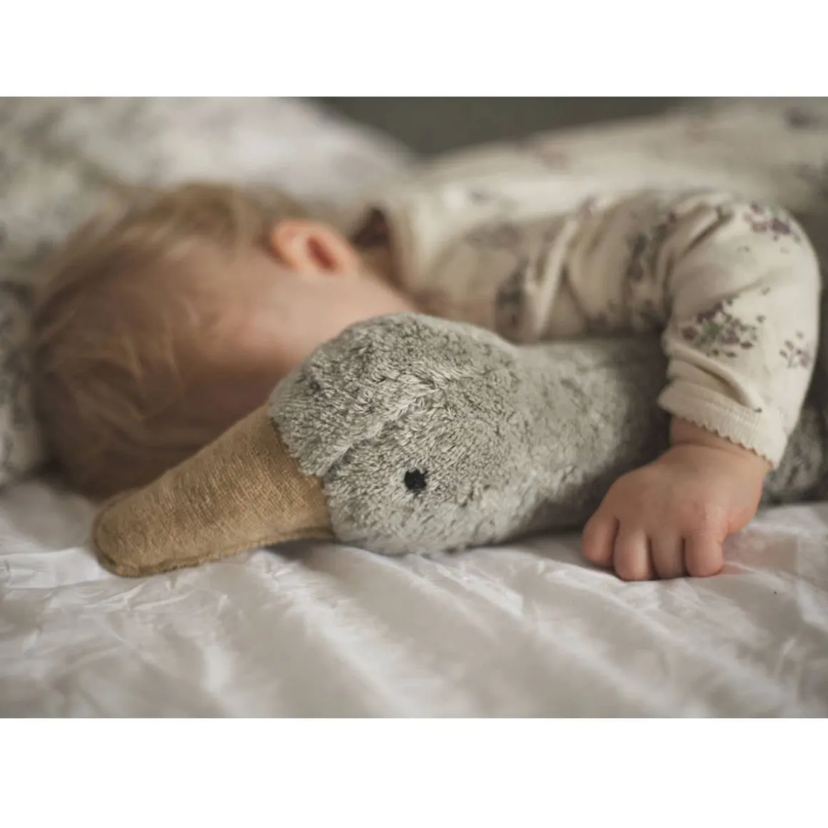 Cuddly Animals (Large)