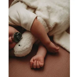 Cuddly Animals (Small)