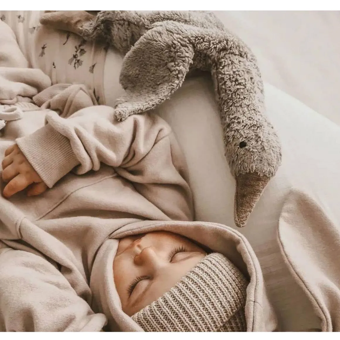 Cuddly Animals (Small)