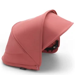 Dragonfly Sun Canopy