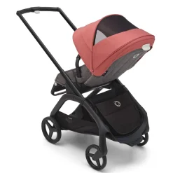 Dragonfly Sun Canopy