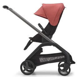 Dragonfly Sun Canopy