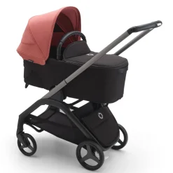 Dragonfly Sun Canopy