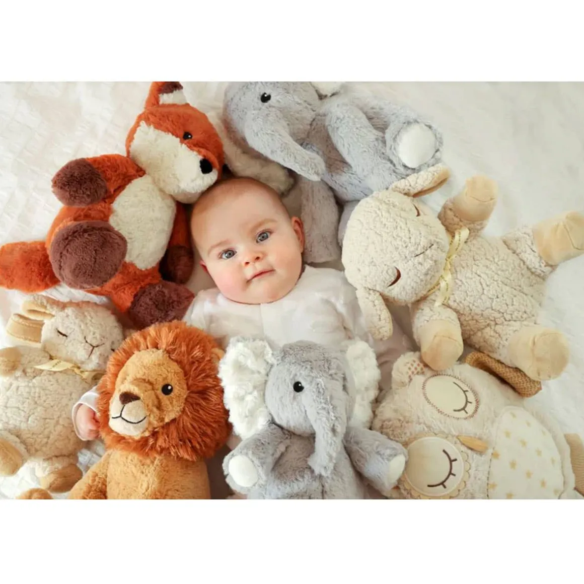 Elliot the Elephant On the Go