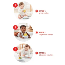 Explore & More Follow-Crawl Bee