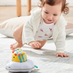 Explore & More Follow-Crawl Bee