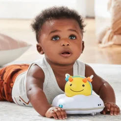 Explore & More Follow-Crawl Bee