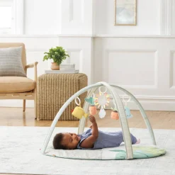 Garden Oasis Activity Gym