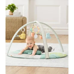 Garden Oasis Activity Gym