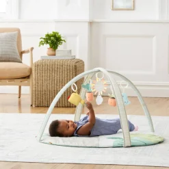 Garden Oasis Activity Gym