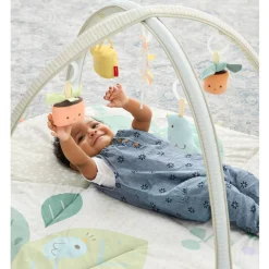 Garden Oasis Activity Gym