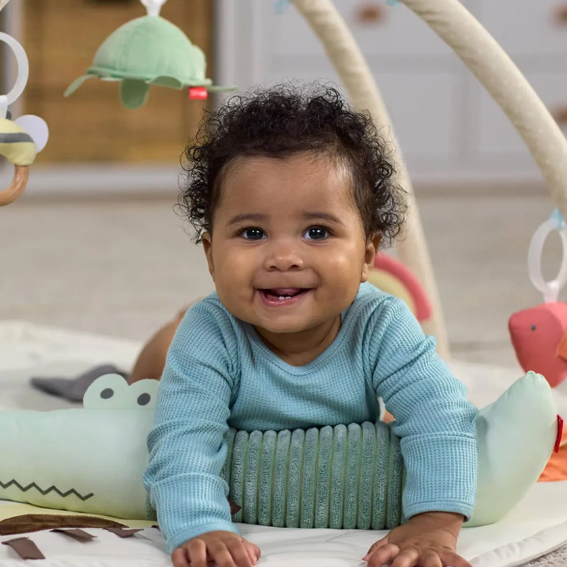 Geometric Wonders Activity Gym