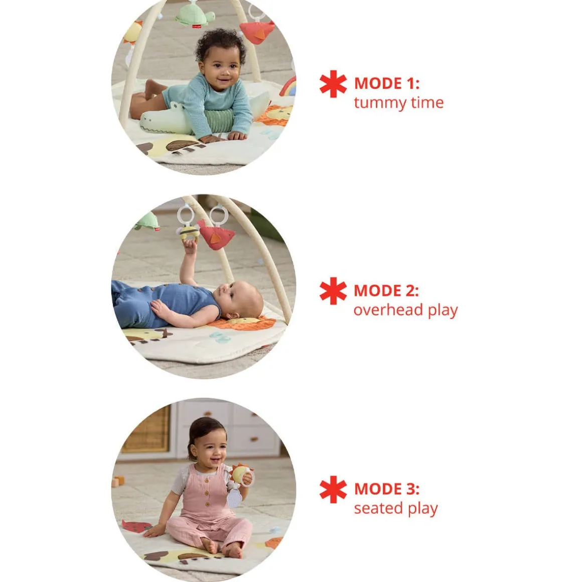 Geometric Wonders Activity Gym