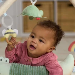 Geometric Wonders Activity Gym