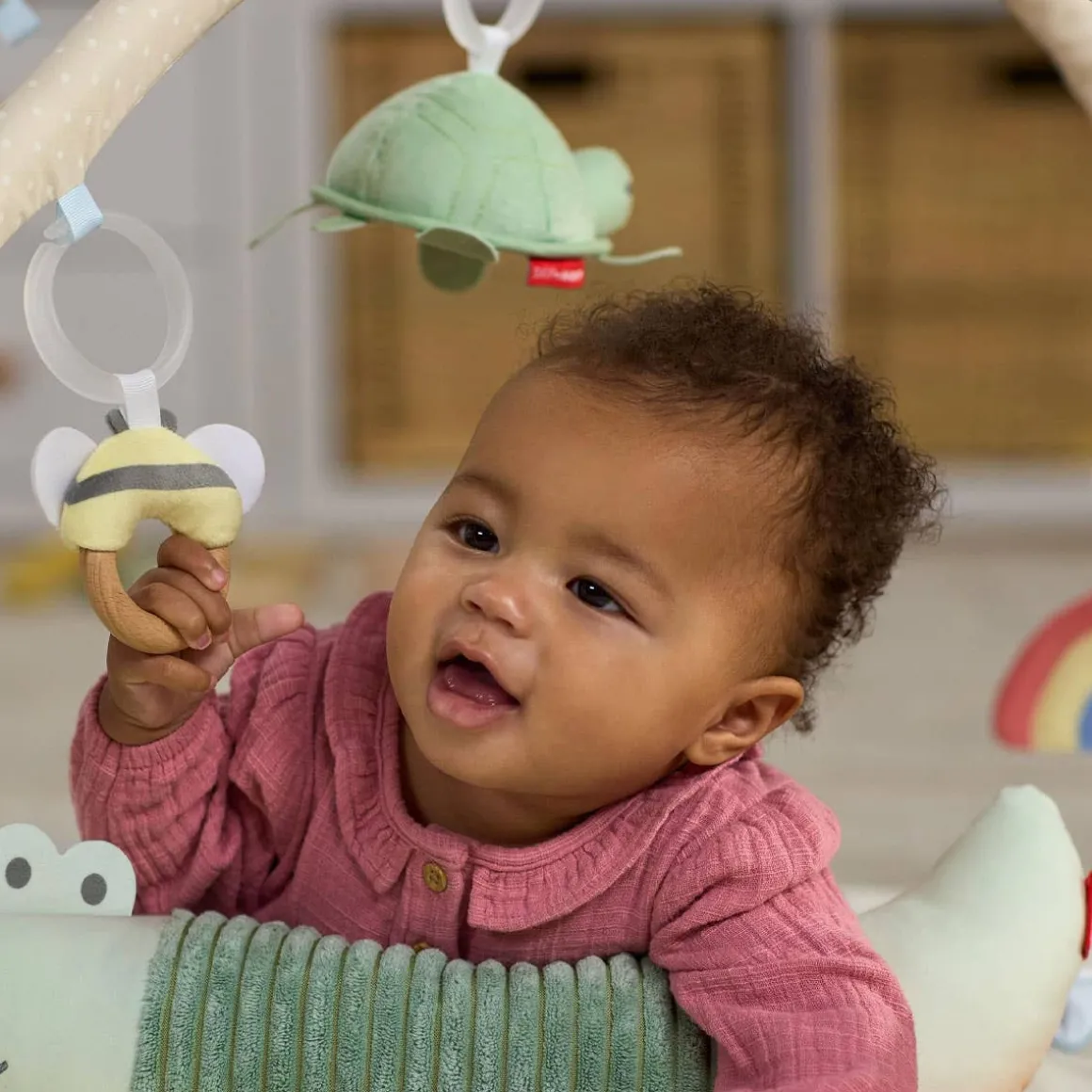 Geometric Wonders Activity Gym