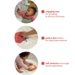 Geometric Wonders Activity Gym