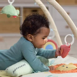 Geometric Wonders Activity Gym