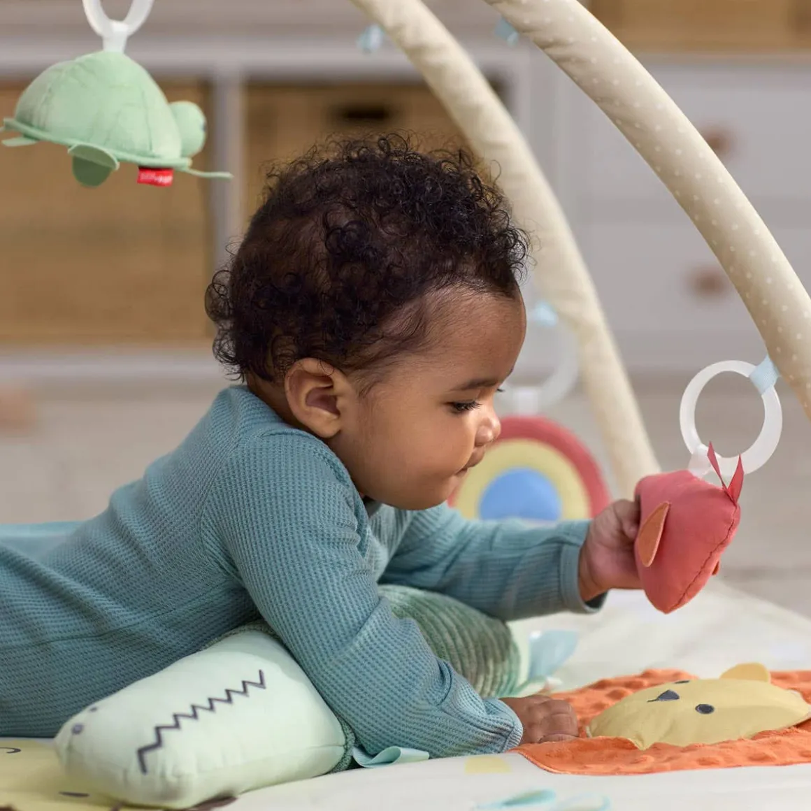 Geometric Wonders Activity Gym