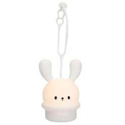 Hook 'N Go Pendant LED Nightlight