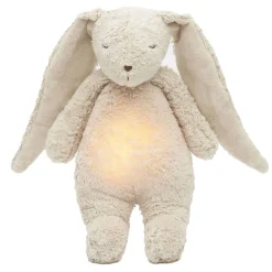 Humming Bunny with Lamp
