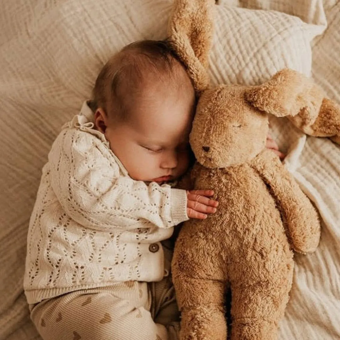 Humming Bunny with Lamp