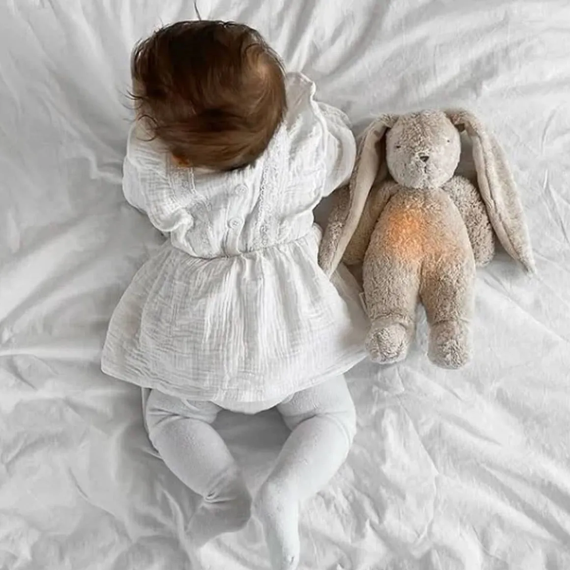 Humming Bunny with Lamp