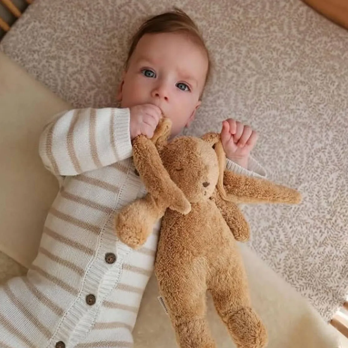 Humming Bunny with Lamp