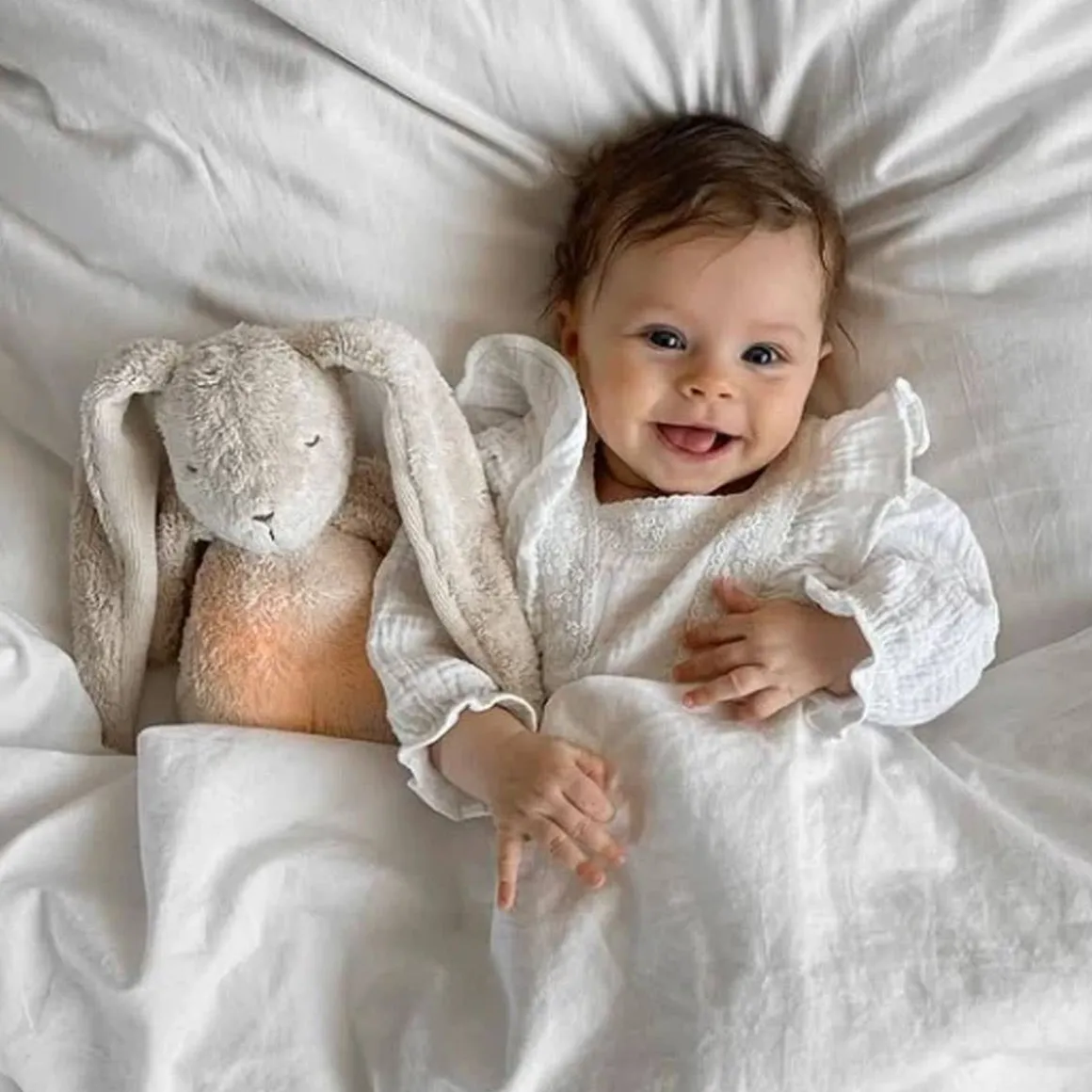 Humming Bunny with Lamp