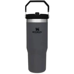 IceFlow 30 oz Flip Straw Tumbler