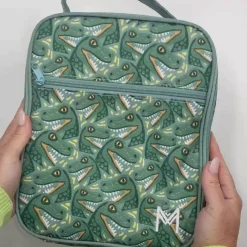 Insulated Lunch Bag