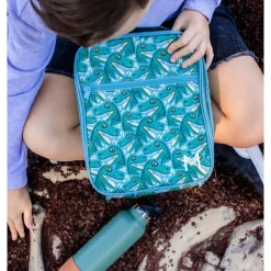 Insulated Lunch Bag